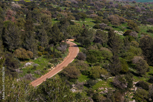 High angle view of a winding dirt road through a green Mediterranean forest on a sunny day. Montain Tavor