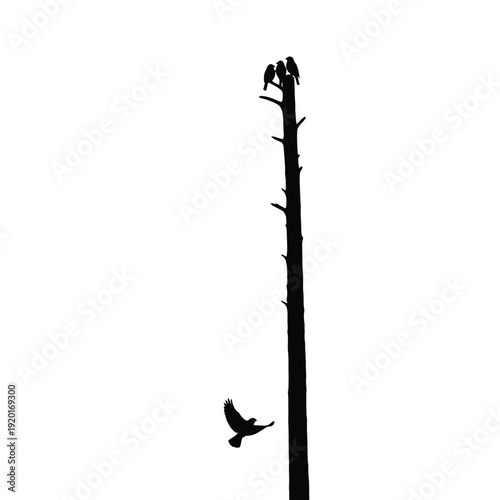 A silhouette of a dead tree with birds perched on top and one bird in flight nearby against a white background.