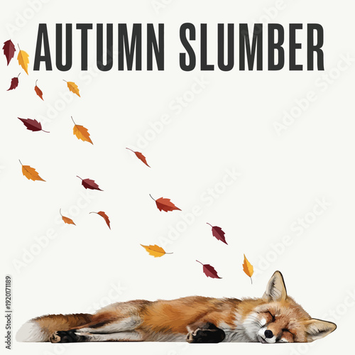 A fox peacefully sleeps surrounded by falling autumn leaves on a white background.