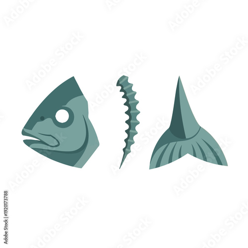Illustration of a fish head, spine, and tail on a white background