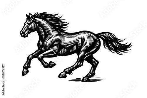 Majestic Galloping Horse Engraving Art: Dynamic Black and White Illustration Capturing Equine Power, Freedom, and Grace. A detailed vintage woodcut style vector artwork, ideal for equestrian enthusias