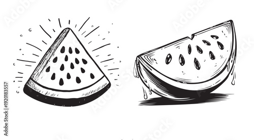 Watermelon vector illustration, hand drawn style.	
