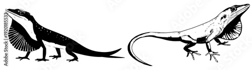 A vibrant and colorful anole lizard in a black and white world