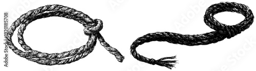 Elegant Twisted Rope Coil