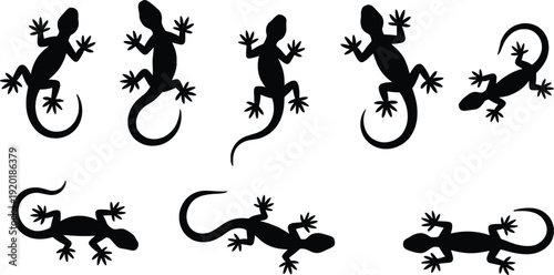Gecko lizard silhouette vector set with multiple poses, black reptile shapes isolated on background for wildlife, nature, tattoo, logo design collection