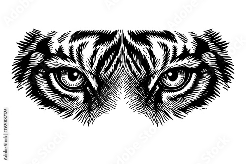 Striking black and white illustration capturing the intense, piercing gaze of majestic tiger eyes, rendered in a detailed, vintage-inspired engraving or woodcut style, symbolizing raw power, untamed w