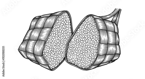 Detailed Drawing of Cut Open Corn on Cob.