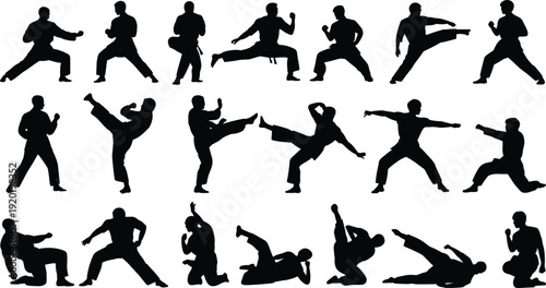 Twenty martial arts silhouettes showing diverse stances, punches, high kicks, defensive movements, and combat techniques for sports, training, fitness illustration