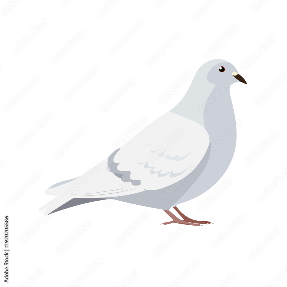 Fototapeta premium Dove illustrated in a clean 2D flat vector style, minimal and modern, isolated on a white background.