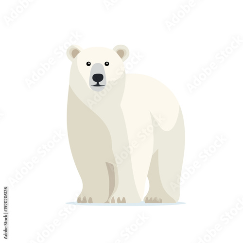 Simple flat 2D vector graphic of Polar Bear, modern icon look, displayed on a pure white background.