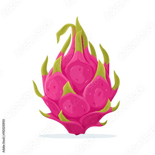 Dragon Fruit, modern 2D flat vector illustration in icon style, isolated on pure white background.