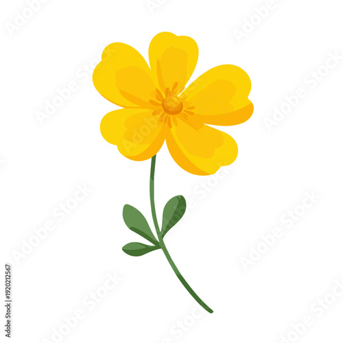 Simple flat 2D vector graphic of Buttercup, modern icon look, displayed on a pure white background.