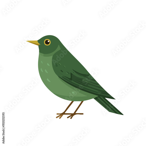Flat 2D vector illustration of Thrush, simple icon style on a clean white background.