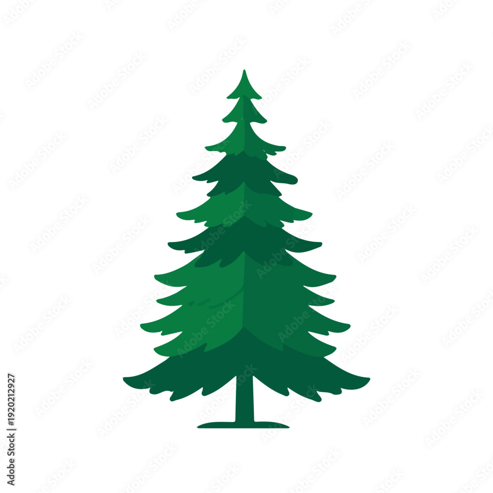 Obraz premium Modern flat 2D vector illustration of Douglas Fir Tree, clean and minimal design, isolated on white background.