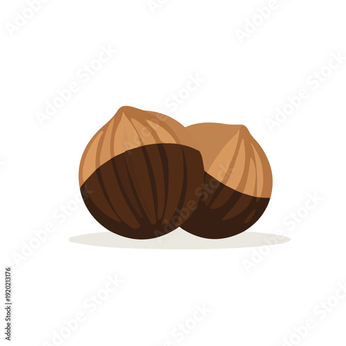 Wild Hazelnut illustrated in a clean 2D flat vector style, minimal and modern, isolated on a white background.