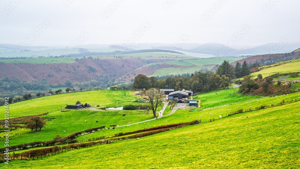 Naklejka premium Farms and Fields, Wales, UK