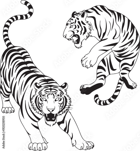 Set of big tigers. Collection of portraits of predatory wild cats. Set of wildlife and fauna dwellers. Vector illustration on a white background. Tattoo.
