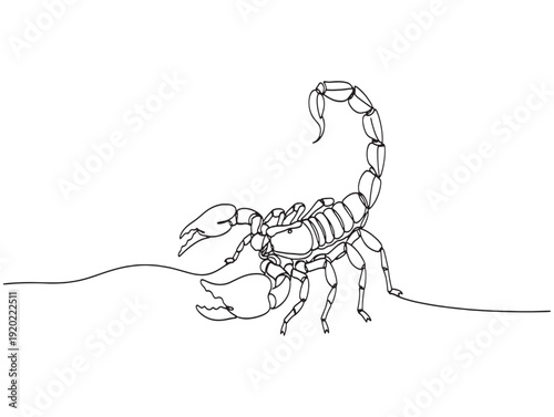 A black and white line drawing of a scorpion with its tail raised