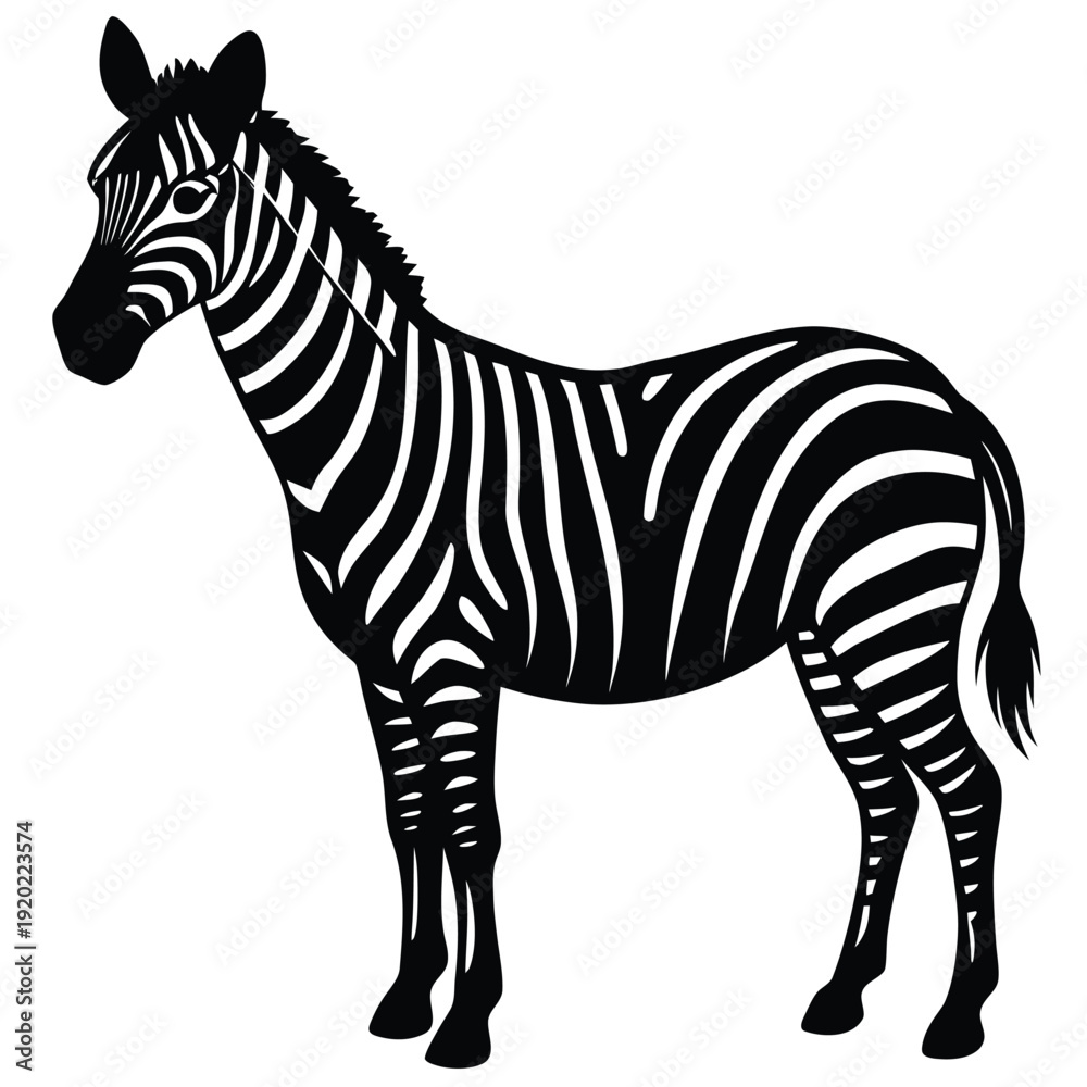 Fototapeta premium Set of african zebra side and front view cartoon animal design flat vector illustration isolated on white background