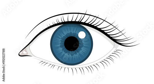 Vibrant blue eye with detailed eyelashes and realistic iris