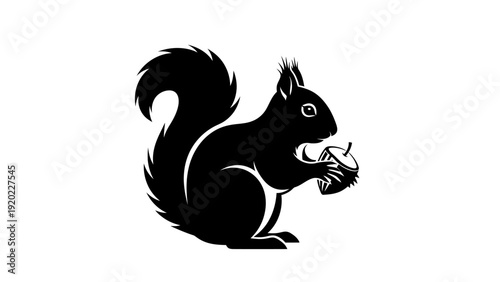 Silhouette of a Squirrel Holding an Acorn Nut.