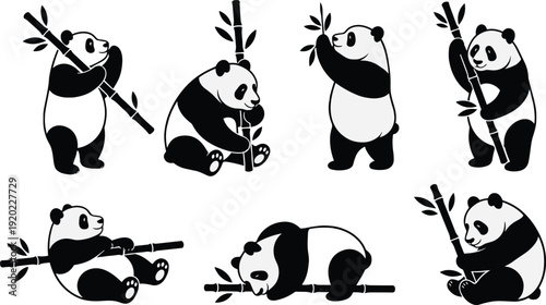 Black and white panda bears with bamboo cute