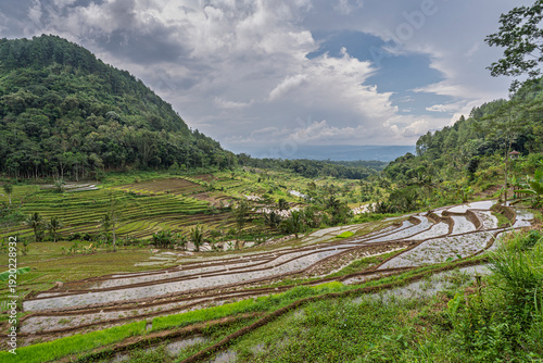 Scenic rural landscape view with rice terraces in Selogriyo valley, Magelang, Central Java, Indonesia