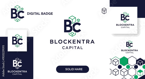 Modern blue and green BC monogram logo with abstract digital block and hexagon pattern, representing financial technology on isolated white background.