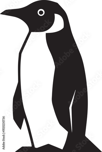 Black and white of a penguin standing upright bird animal wildlife