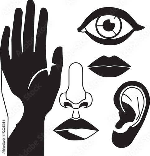 Black and white of human senses hand eye nose lips ear