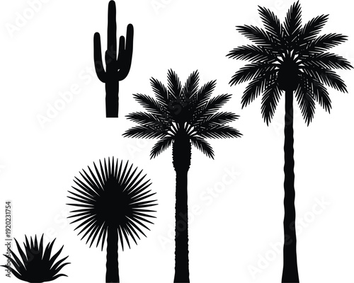 Palm tree and cactus silhouettes collection, tropical desert plants set, black isolated vector illustration for summer landscape design