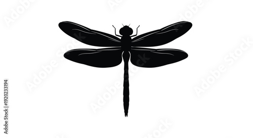 A striking black dragonfly form against a white background silhouette