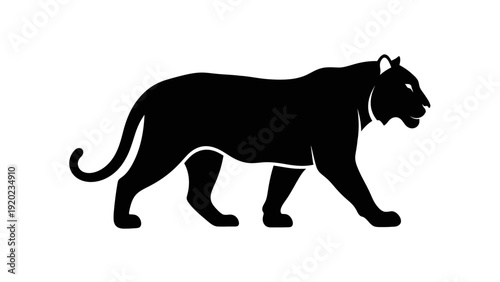 Silhouette of a majestic black panther walking gracefully.