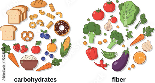 Carbohydrates and Fiber Food Comparison Healthy Nutrition Sources Vector Illustration