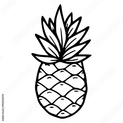 tropical fruit graphic design for summer theme projects