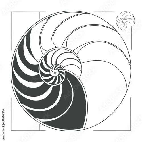 This nautilus shell geometry vector highlights the mathematical beauty of the golden ratio spiral. Ideal for educational materials, scientific visuals, architecture concepts, modern branding,
