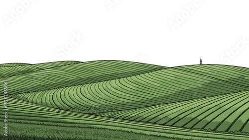 Rolling green hills with contoured fields and a lone figure walking on the horizon