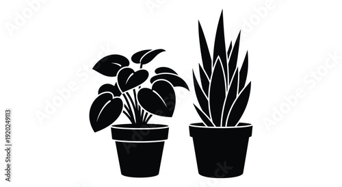 Black and white illustration of two potted indoor plants with differing foliage