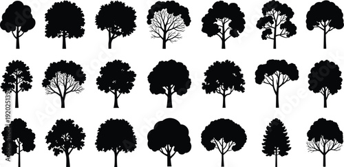 Tree silhouettes collection vector illustration, diverse forest and park trees isolated on white background for landscape design