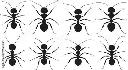 Black ant silhouette set, group of worker insects from top view, colony of pests for nature design