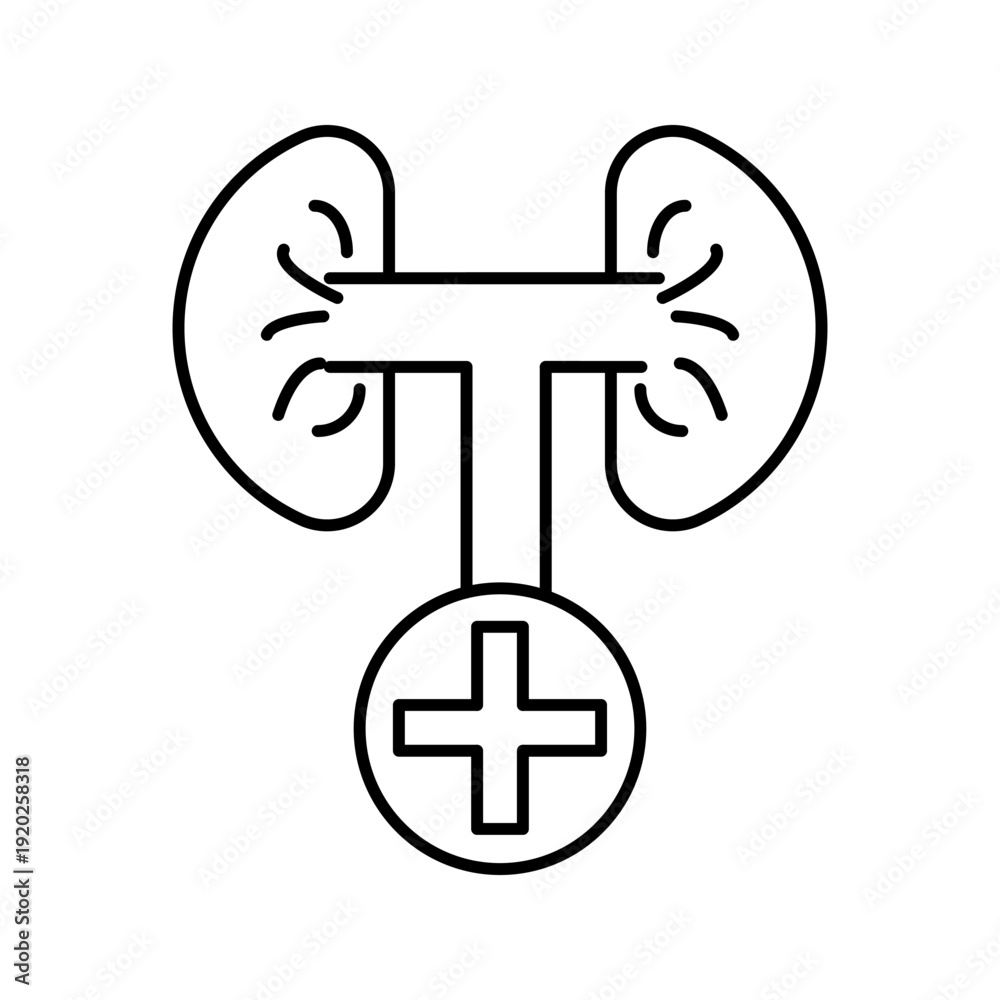 Obraz premium Minimal line icon of kidneys connected with a medical cross symbol, representing kidney health, medical treatment, and healthcare services.