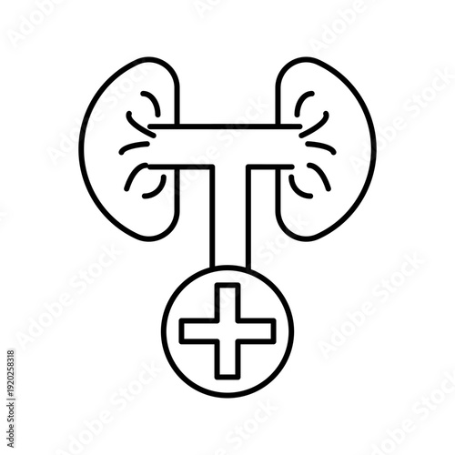 Minimal line icon of kidneys connected with a medical cross symbol, representing kidney health, medical treatment, and healthcare services.