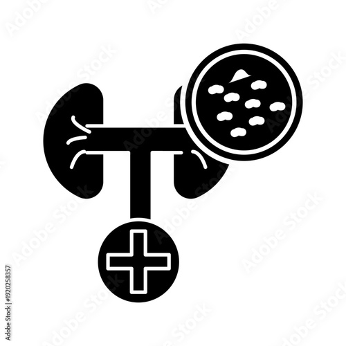 Line icon of kidneys with magnifying glass, symbolizing kidney examination, medical diagnosis, laboratory testing, and healthcare analysis.