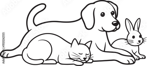 Vector group of pets - Dog, cat, bird, rabbit, isolated on white