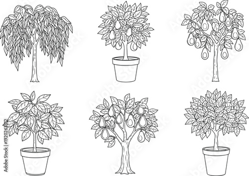 Set of avocado tree line art vector illustrations featuring potted plants and fruit bearing trees for healthy food and gardening themes.