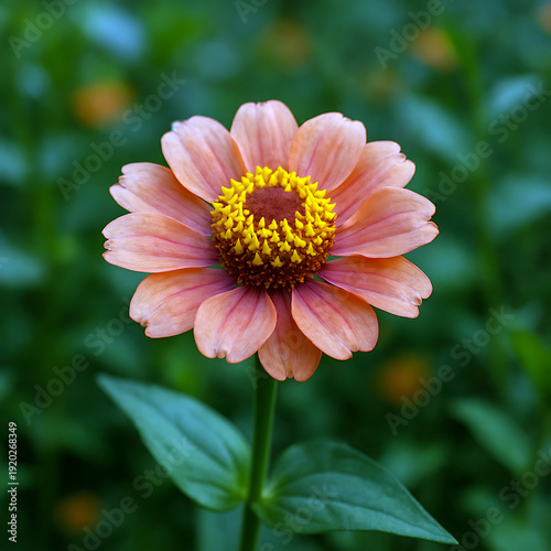 Radiant Orange-Pink Garden Bloom