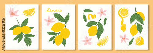 Set of citrus fruits abstract poster. Contemporary print with hand drawn lemon,green leaves and flowers. Dolce vita aesthetics. Italian summer vacation. Elegant design for card, banner, menu, cover.