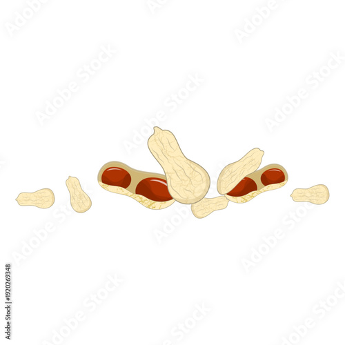 World Legumes Day, Illustration of Peanut in Shells 