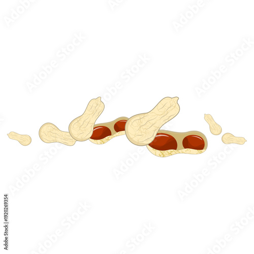 World Legumes Day, Illustration of Peanut in Shells 