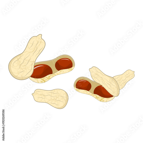 World Legumes Day, Illustration of Peanut in Shells 